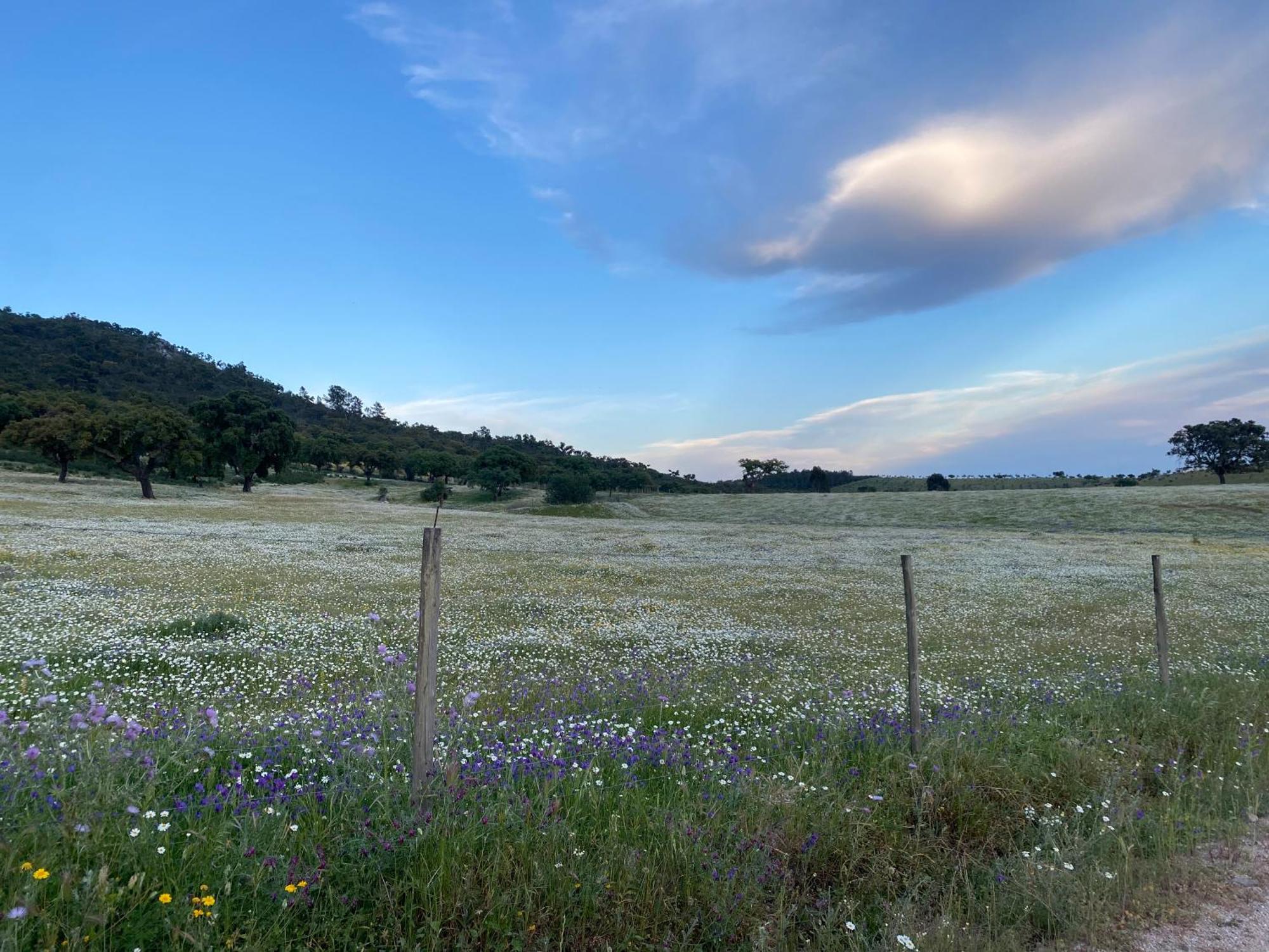 Вілла Monte Da Esperanca Esperanca  Екстер'єр фото
